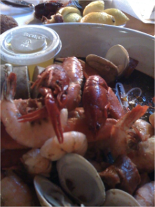 stacks_image_DE702627-B7F8-4090-B26E-3B4382069304